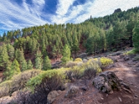 Wokół Roque Nublo